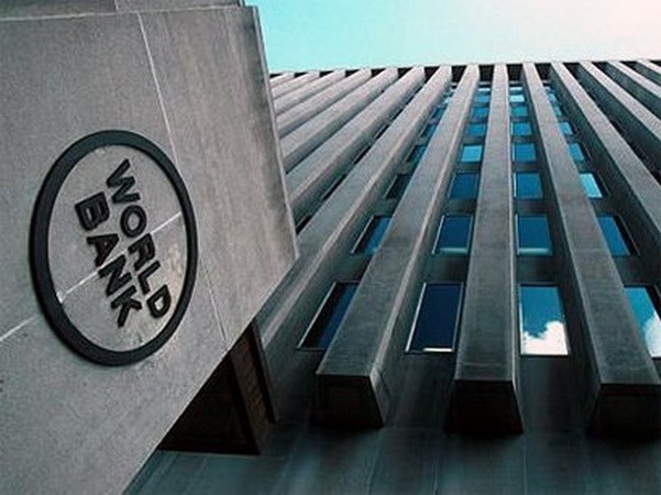 Weltbank senkt Prognose für globales Wirtschaftswachstum auf 2,4 Prozent - ảnh 1